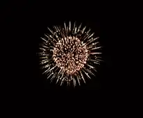 Efect de artificii Crizantema (Chrysanthemum) vazut pe cerul noptii